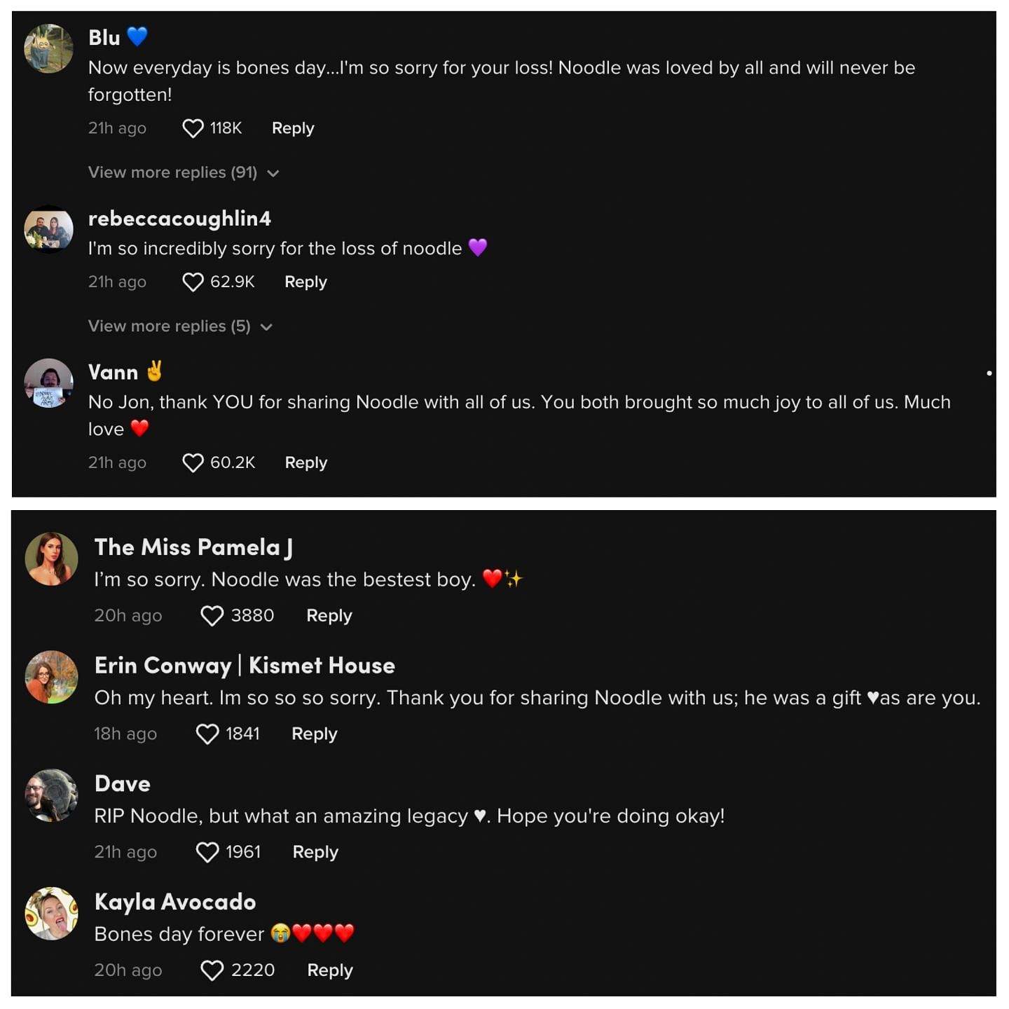 Sad fans comment below the video shared by the pug's owner. Fans reactions explored. (Image via TikTok)