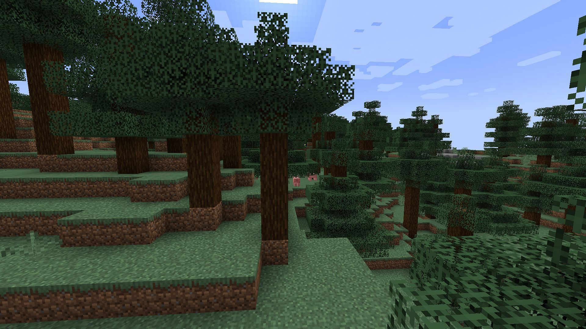 Forest is also great for building structures in Minecraft due to the abundance of resources (Image via Mojang)