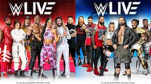 Watch: Former WWE Champion avoids injury following ladder botch at MSG Live Event