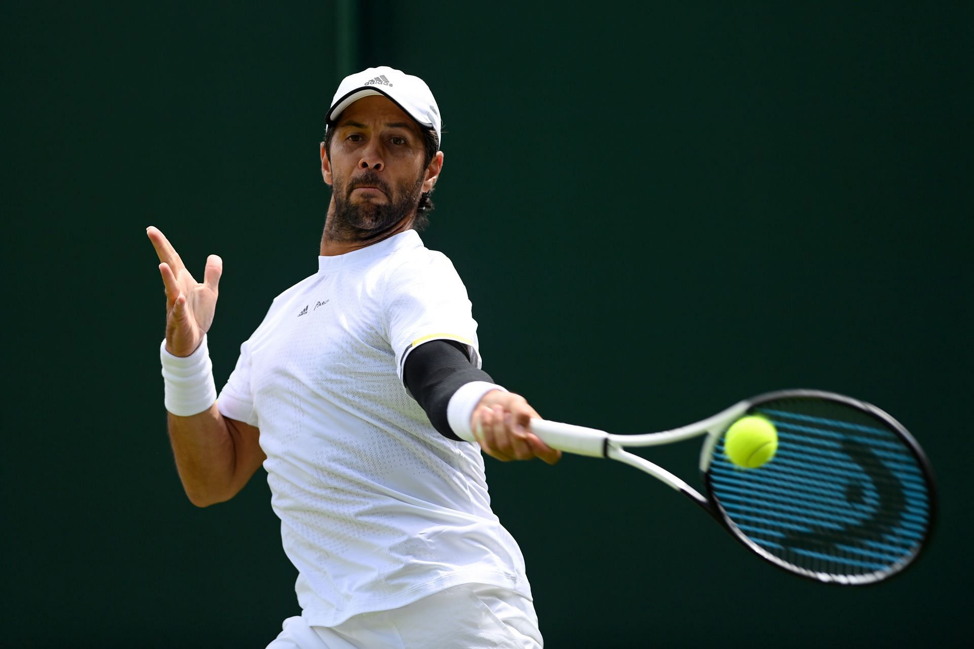 Fernando Verdasco at the 2022 Wimbledon Championships