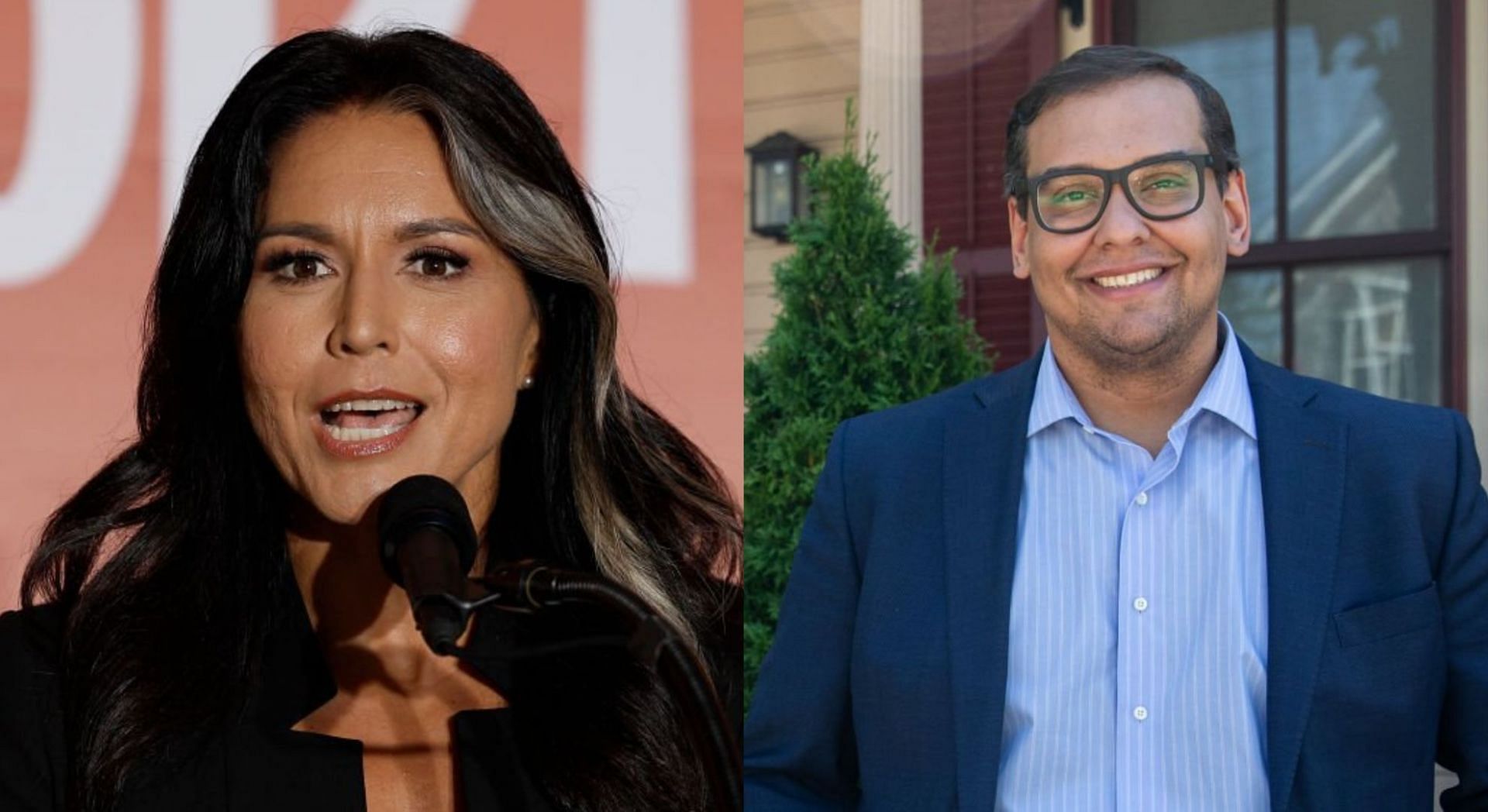 Tulsi Gabbard teared into George Santos over resume lies scandal (Image via Getty Images)