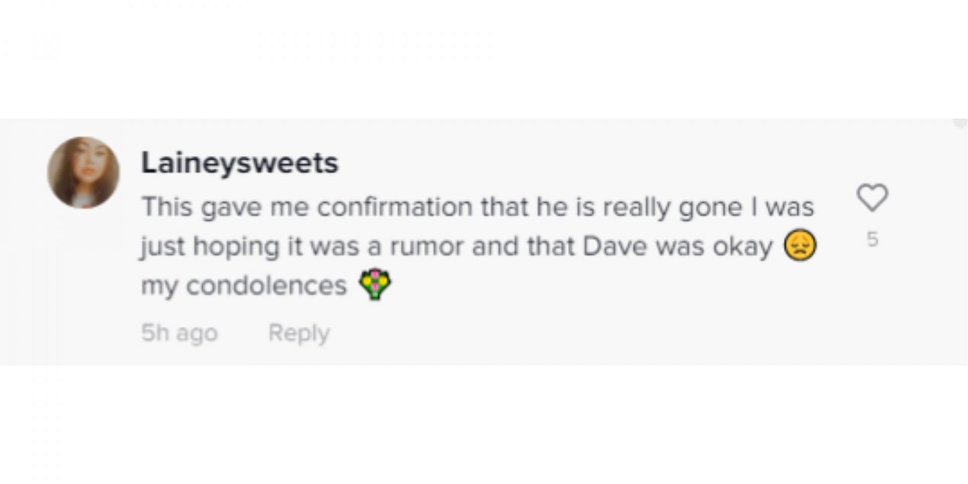 Screenshot of a TikTok user reacting to the news of Dave&#039;s demise (Image via TikTok/@lainey_sweets_)