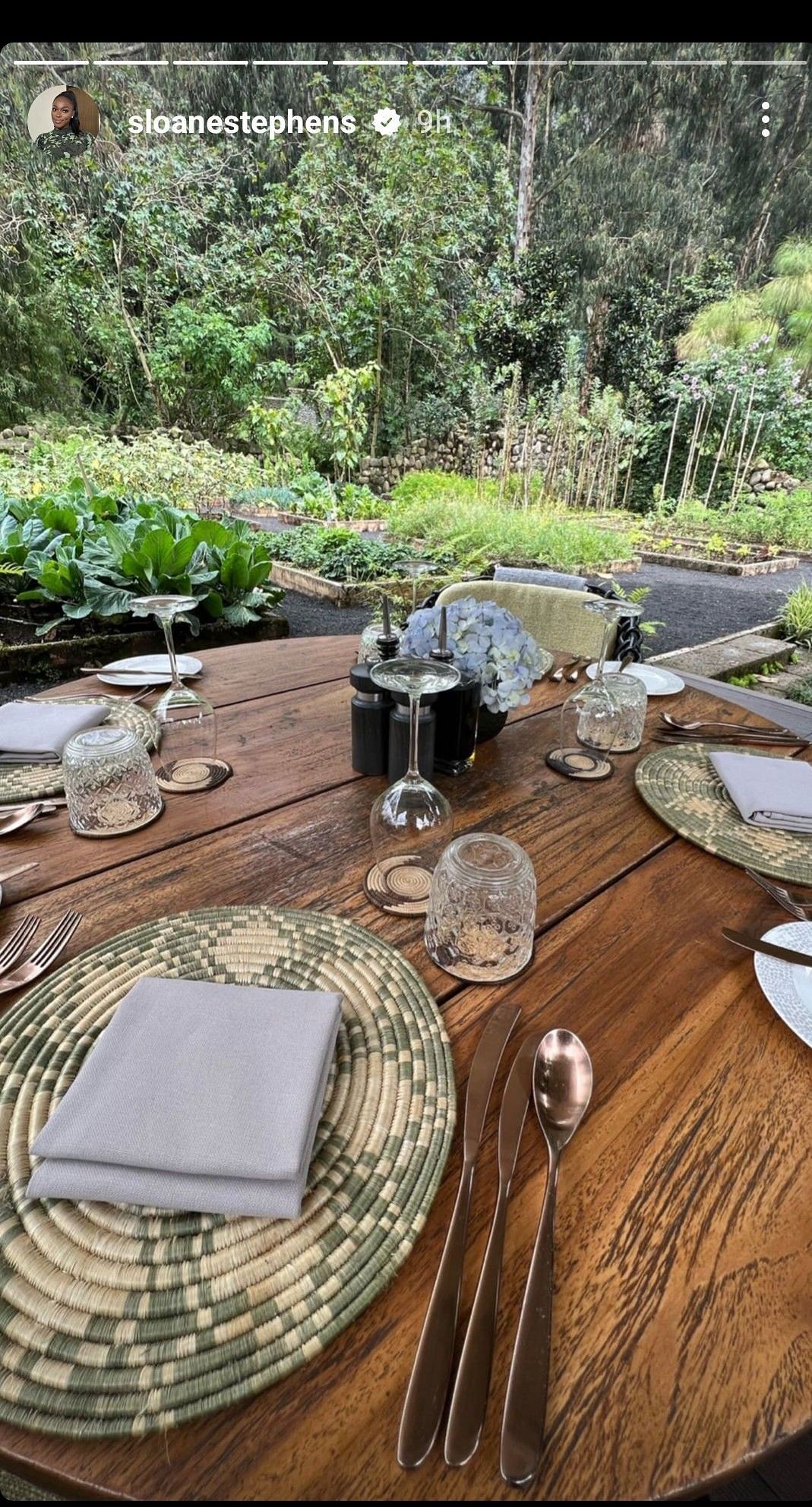 Stephens' dining area is surrounded by dense forest.