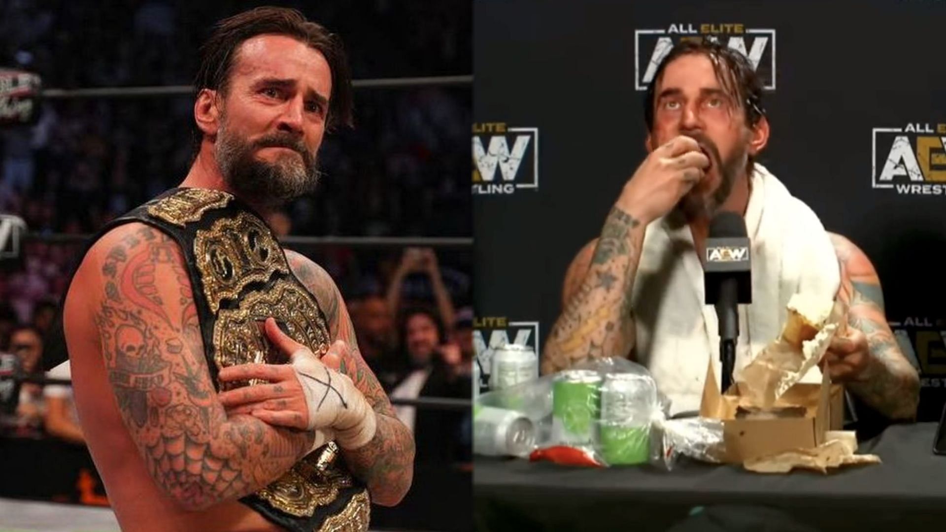 CM Punk quickly picked up numerous accolades across his time with AEW