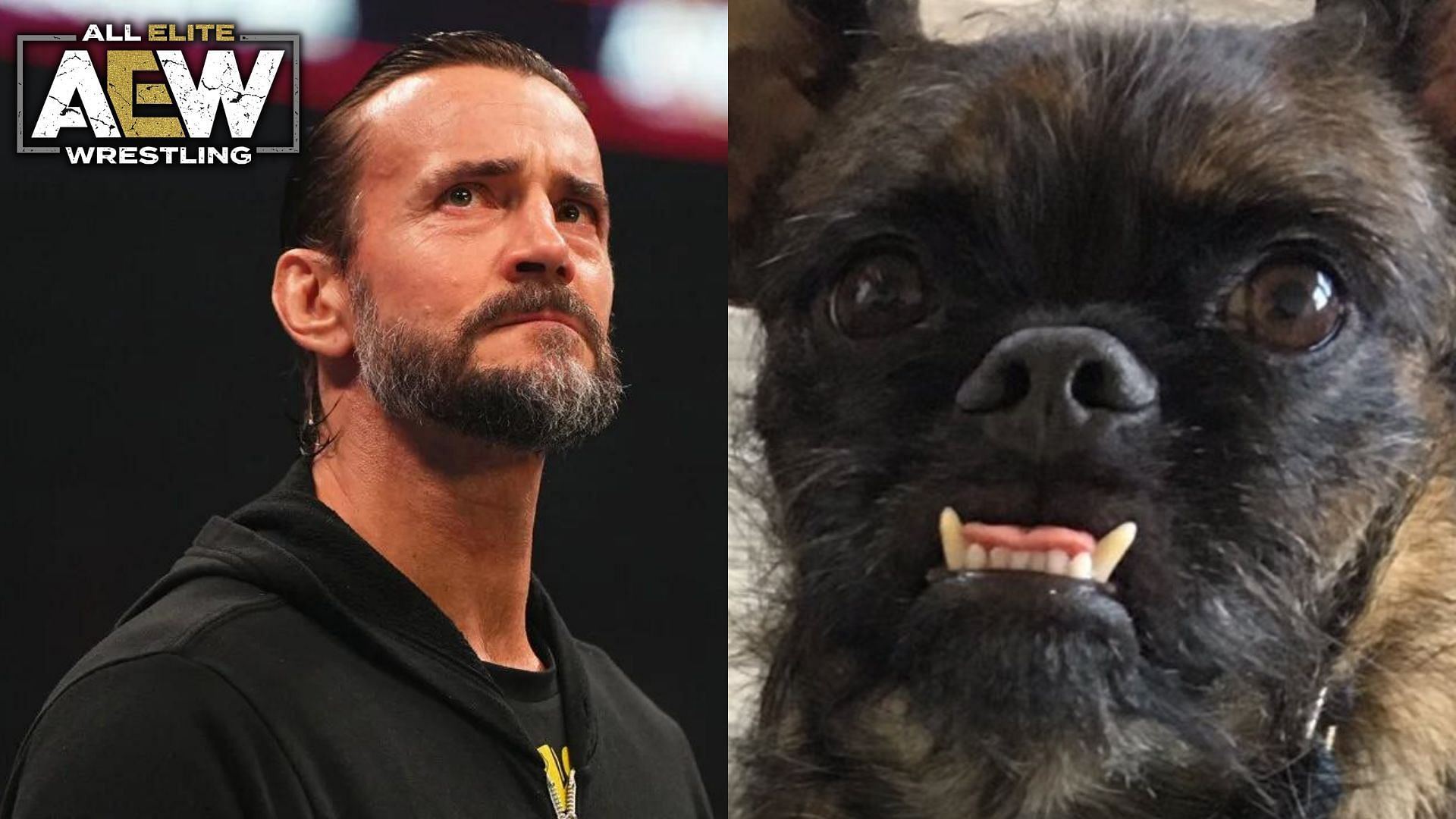 CM Punk (left), Larry the Dog (right)