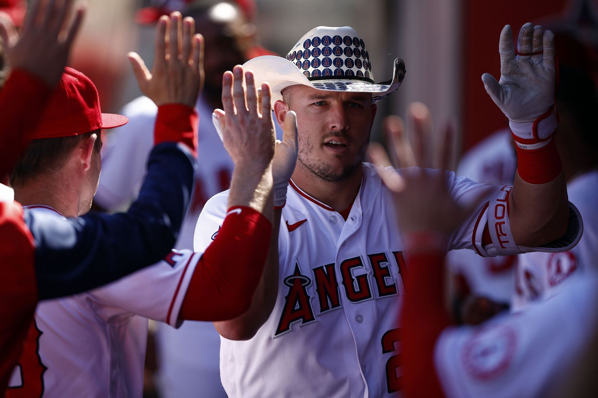 Angels fans hypnotized the camera with Mike Trout's face
