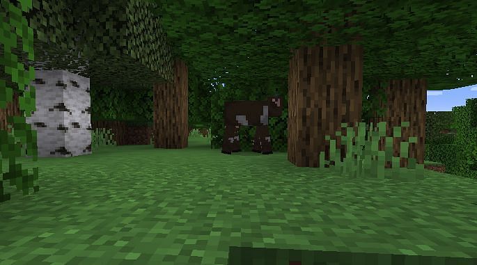 Wooded Hills in Minecraft