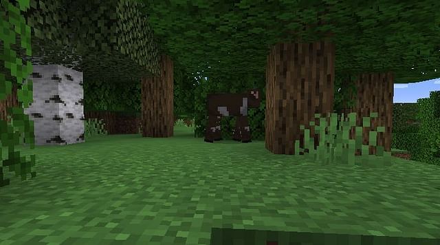 Wooded Hills in Minecraft