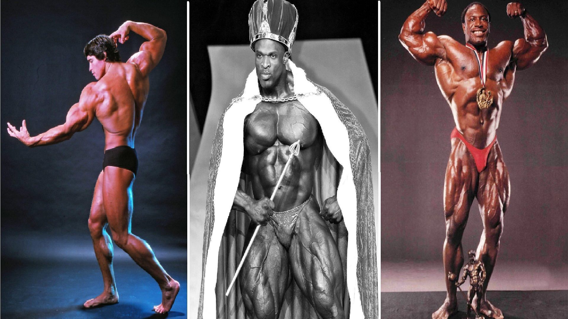 MY FITNESS HUB: MR. OLYMPIA LIST FROM 1965 - 2020  Jay cutler workout  routine, Jay cutler workout, Bodybuilding