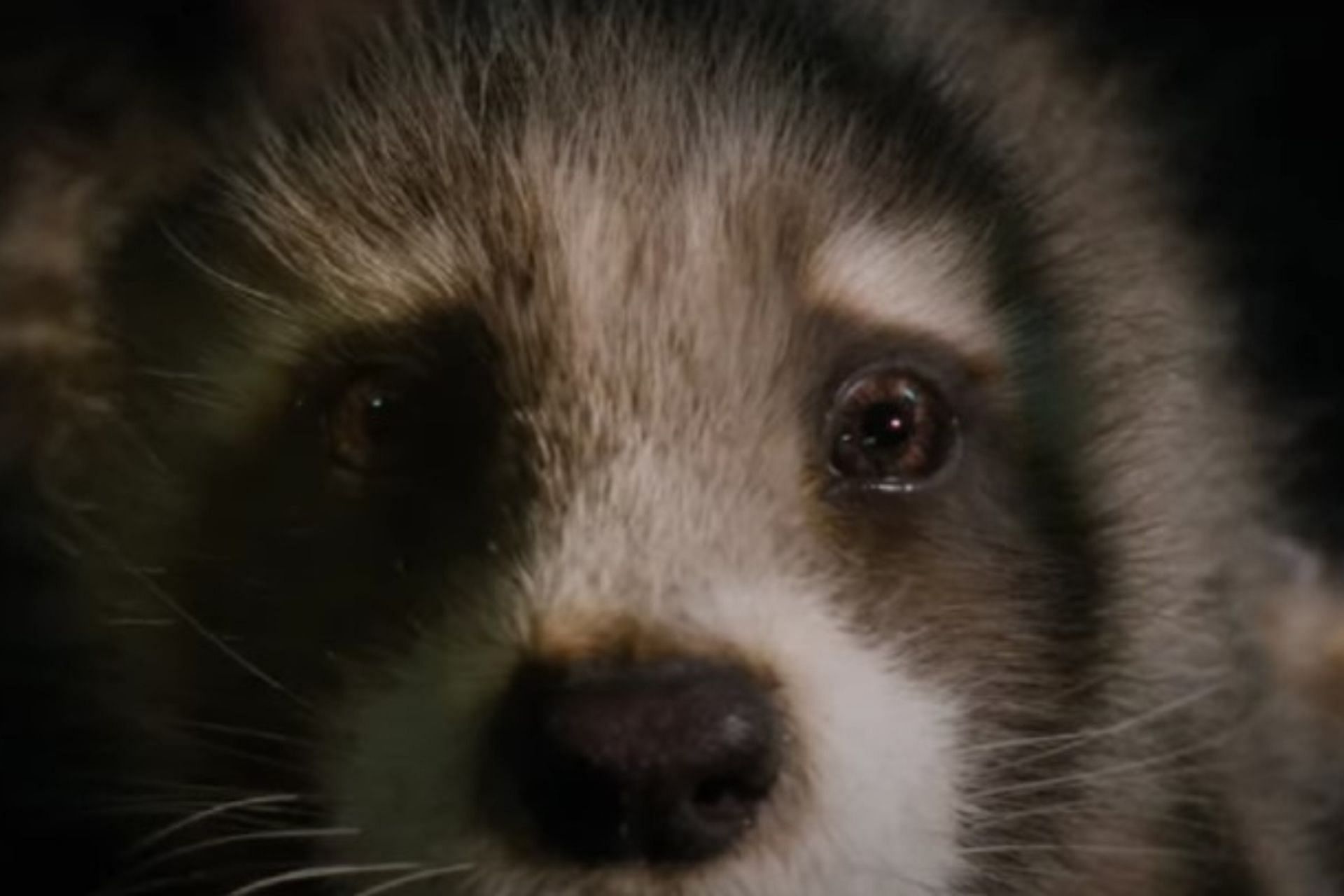 A still from Guardians of the Galaxy Vol. 3 (Image via Marvel Entertainment/YouTube)