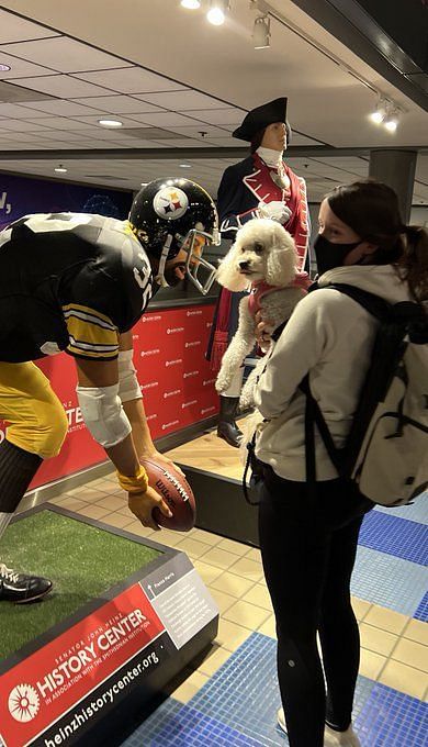 Legendary Fullback Franco Harris Creates Game Day Socks – WWD