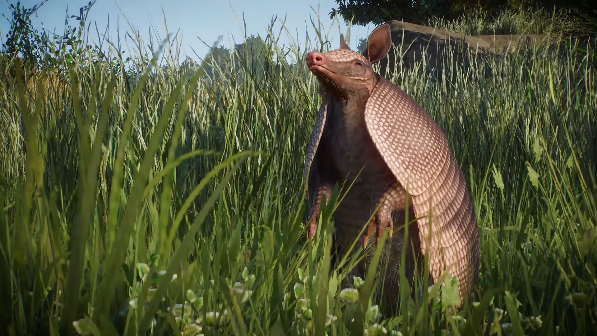 Planet Zoo Grasslands Animal Pack review: Welcome vibrant fluttering  butterflies, armored Armadillos, and more