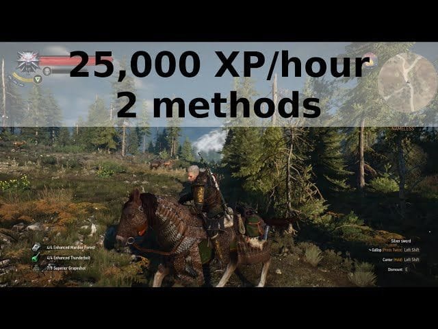 What is the max level cap in The Witcher 3 Next Gen