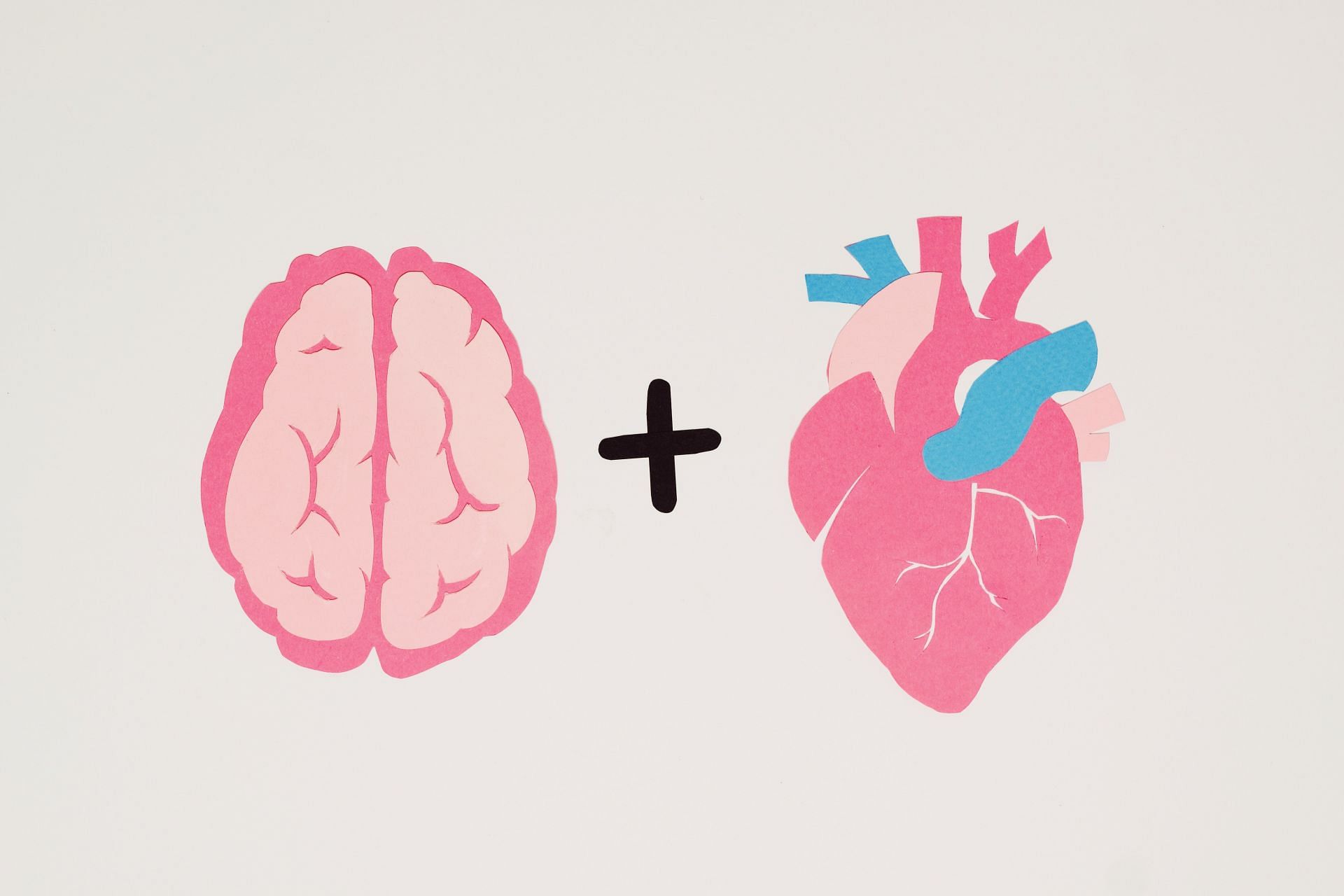 Heart health emphasizes the importance of brain health. (Image via Pexels/Nadezhda Moryak)