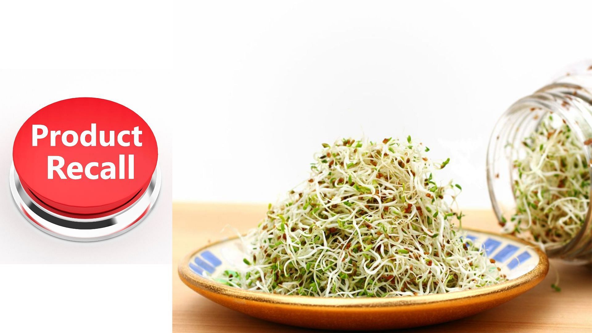 Sunsprouts recalls Alfafa sprouts over Salmonella concerns (Image via Noderog/Getty Images)