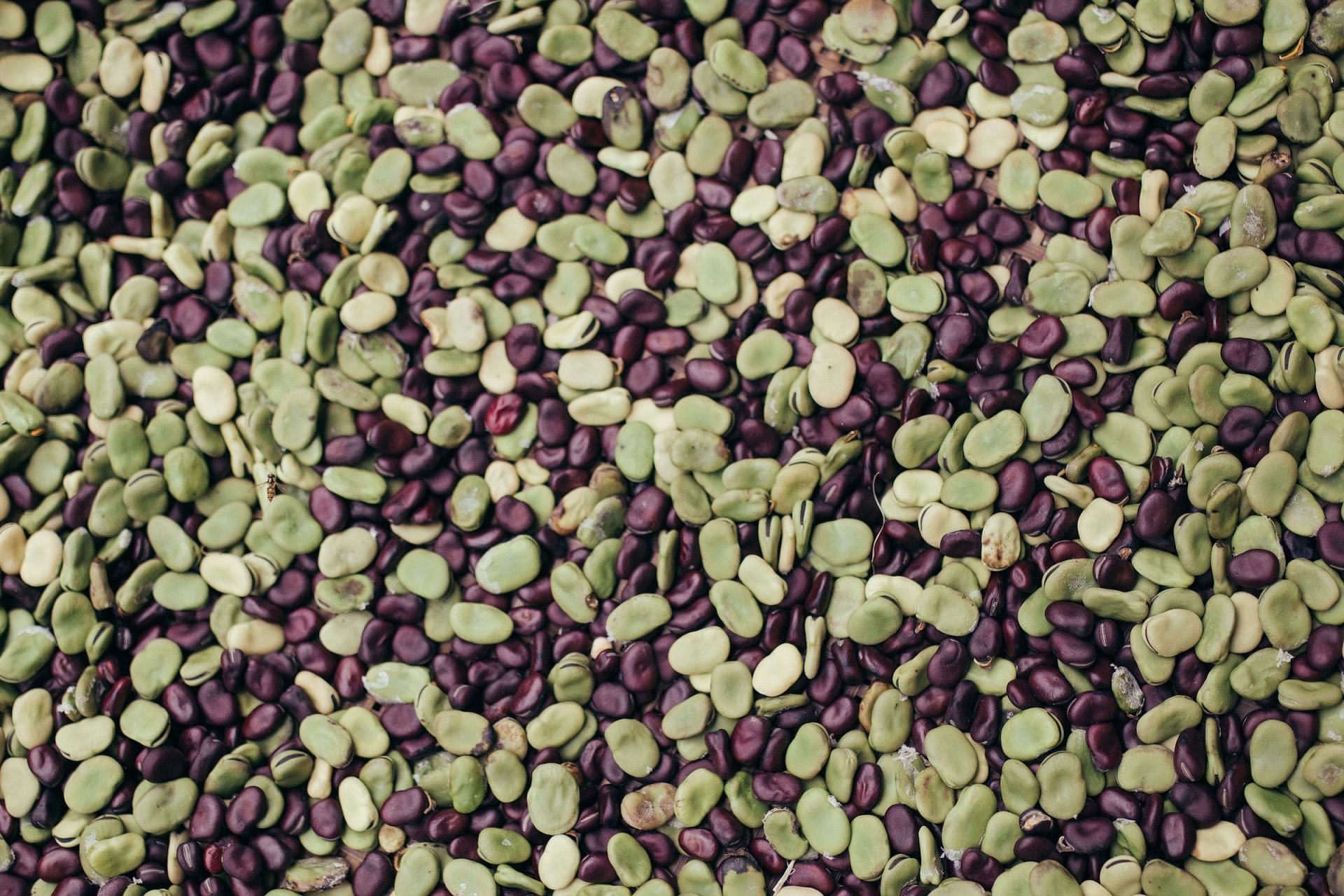 Lima beans are a good source of soluble fiber (Image via Unsplash/Joey Huang)