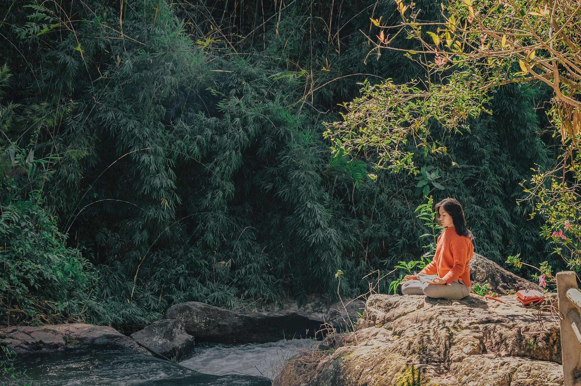 Outdoor meditation. (Image via Pexels/Min An)