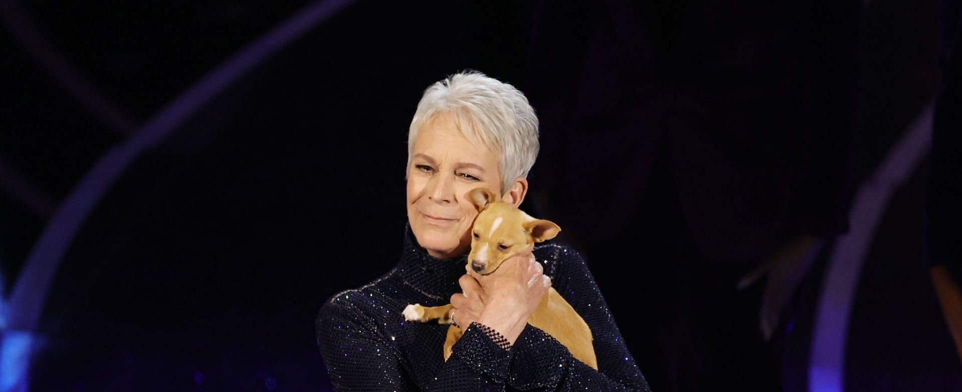 Jamie Lee Curtis&#039; comments on nepotism sparked criticism online (Image via Getty Images)