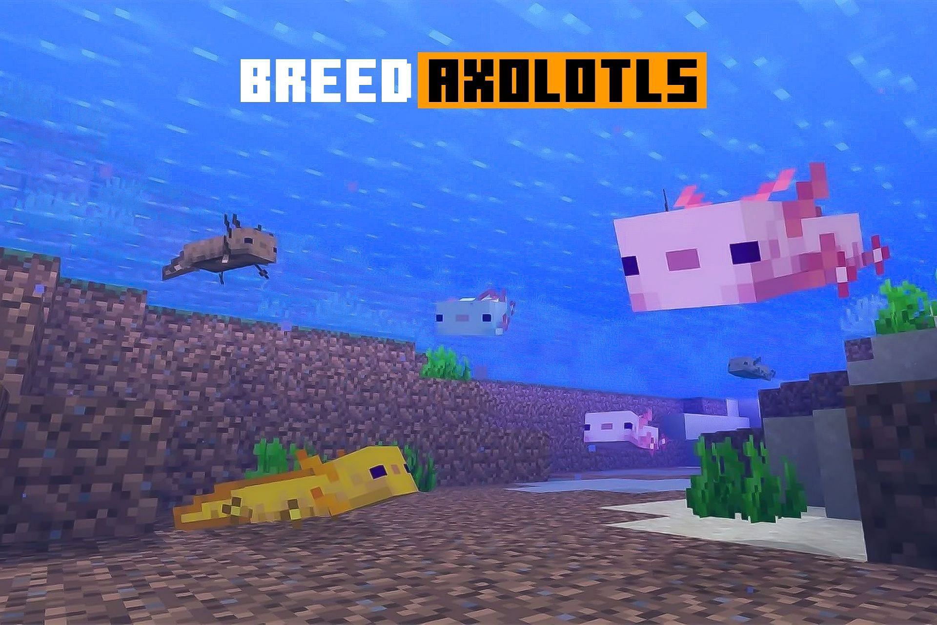 Axolotl are among the different mobs present in Minecraft (Image via Sportskeeda)