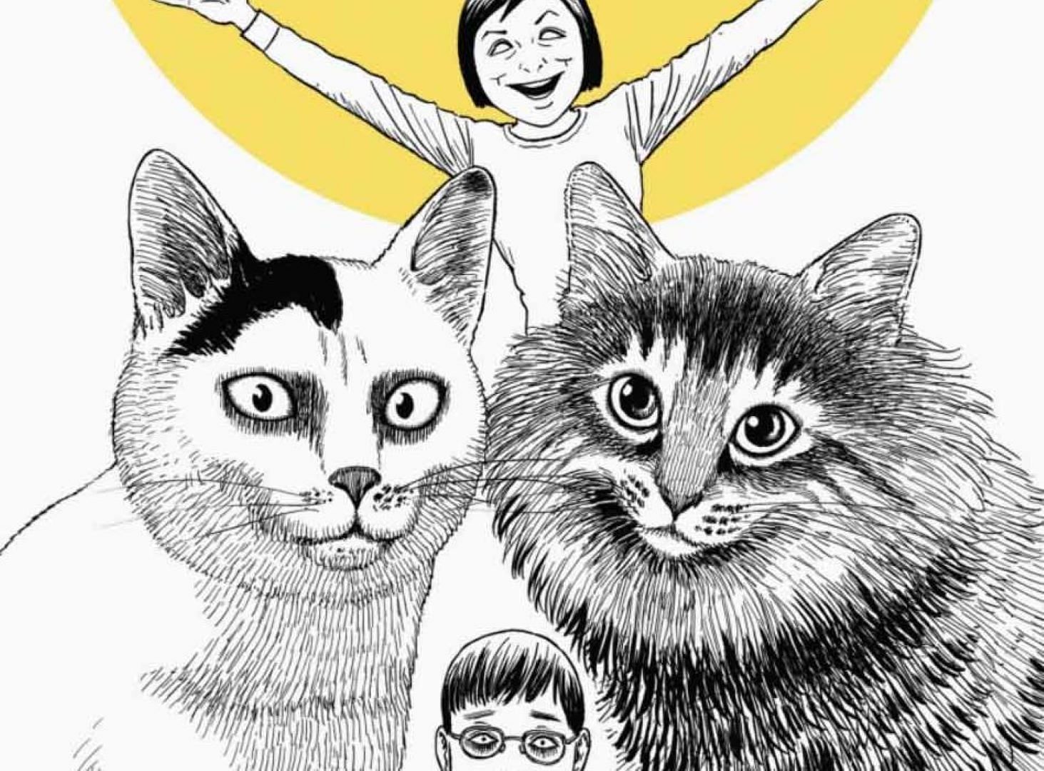 Junji Ito&#039;s Cat Diary cover (Image via Junji Ito/Kodansha)
