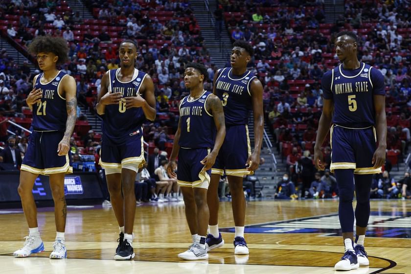 Idaho vs Montana State Prediction, Odds, Line, Pick, and Preview