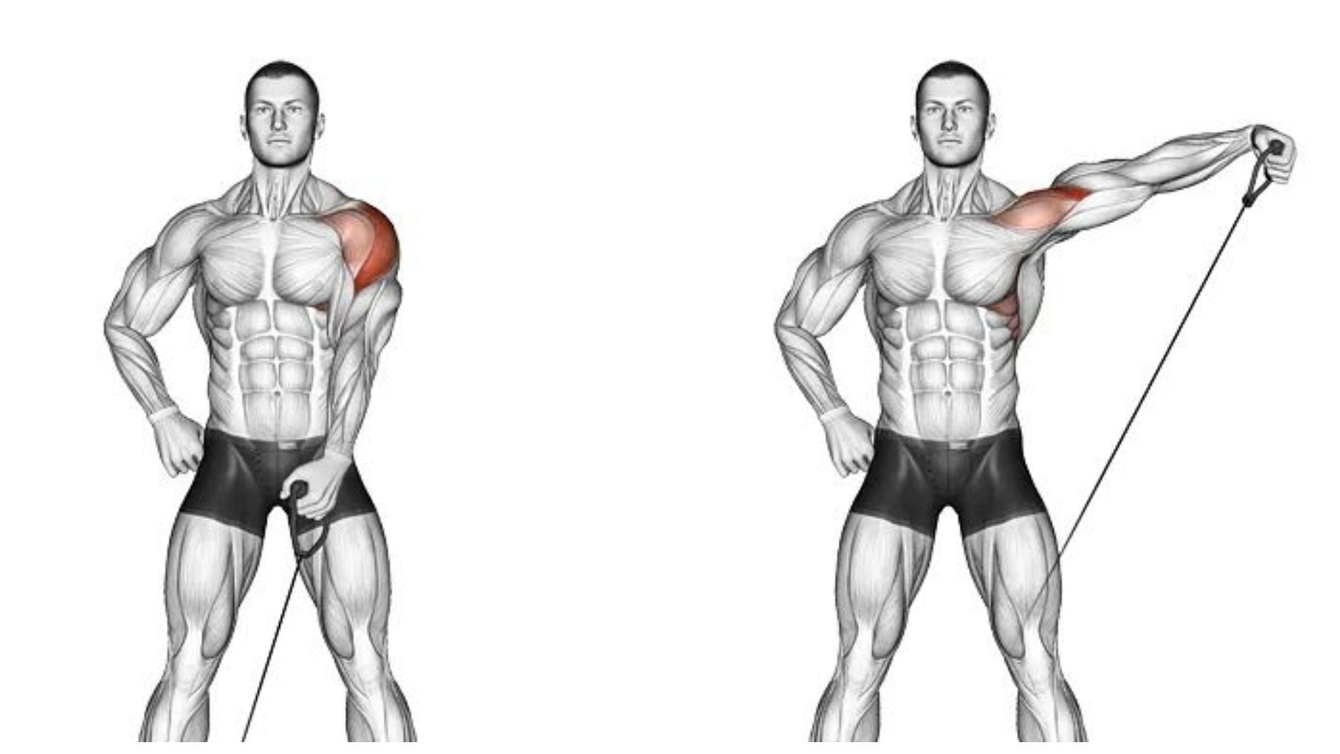 5 Great Exercises for Building Massive Shoulders