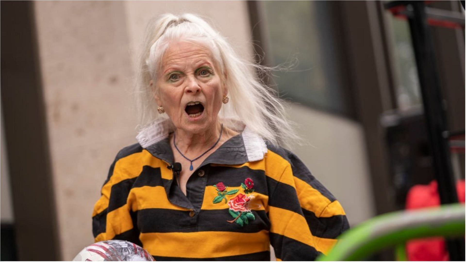 Vivienne Westwood has earned a lot from her career in the fashion industry (Image via Ki Price/Getty Images)