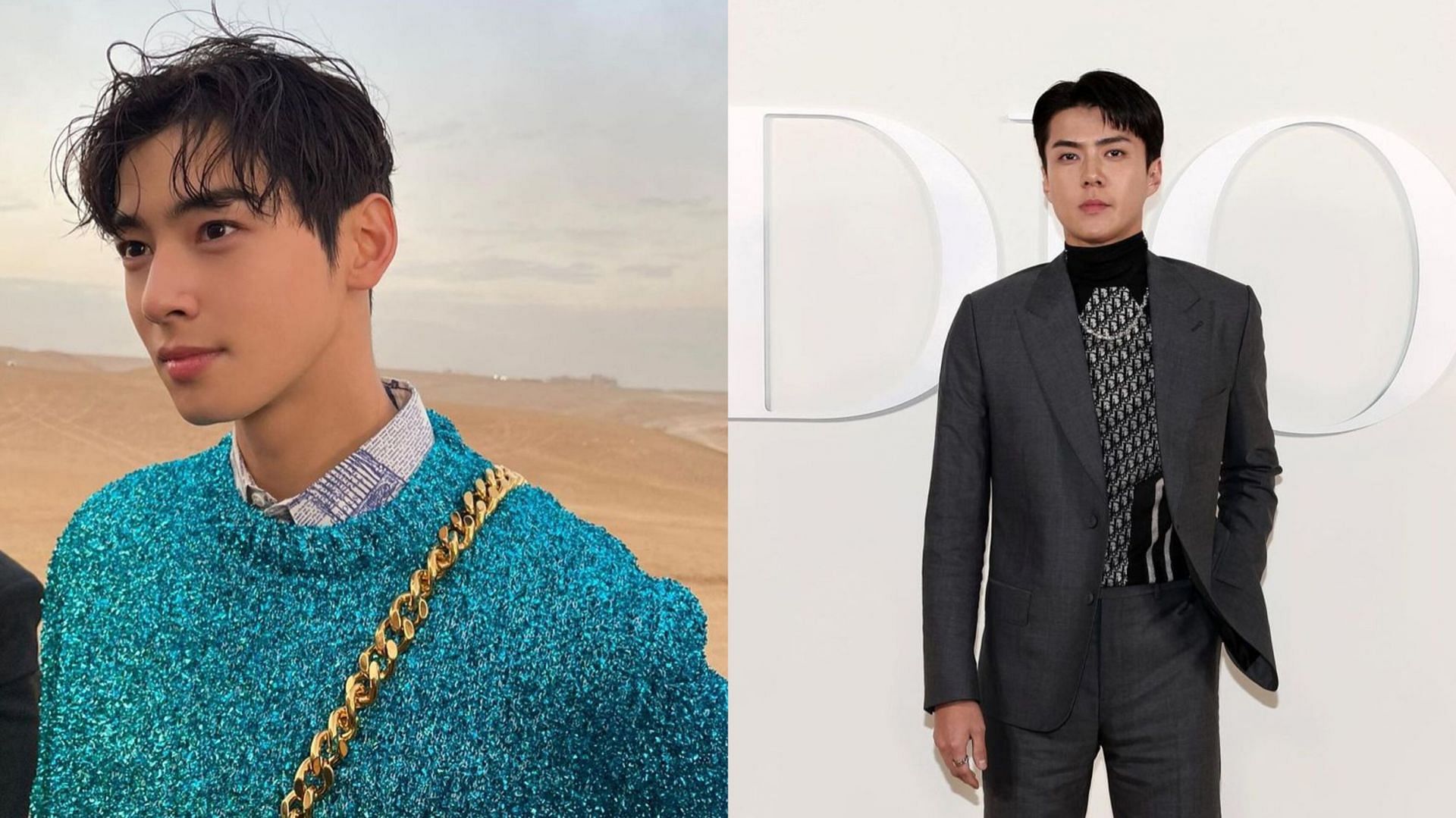 Cha Eun-woo: Cha Eun-woo and Sehun graced the Dior's Men Fall 2023