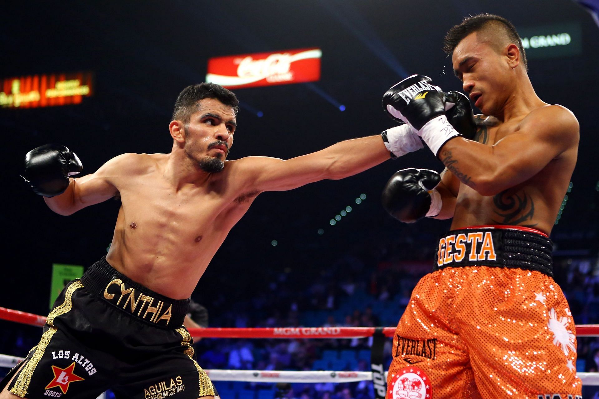 Miguel Angel Vazquez (left) throws a left to the face of Mercito Gesta (right) during their IBF world lightweight title fight (Image credits :Getty Images).