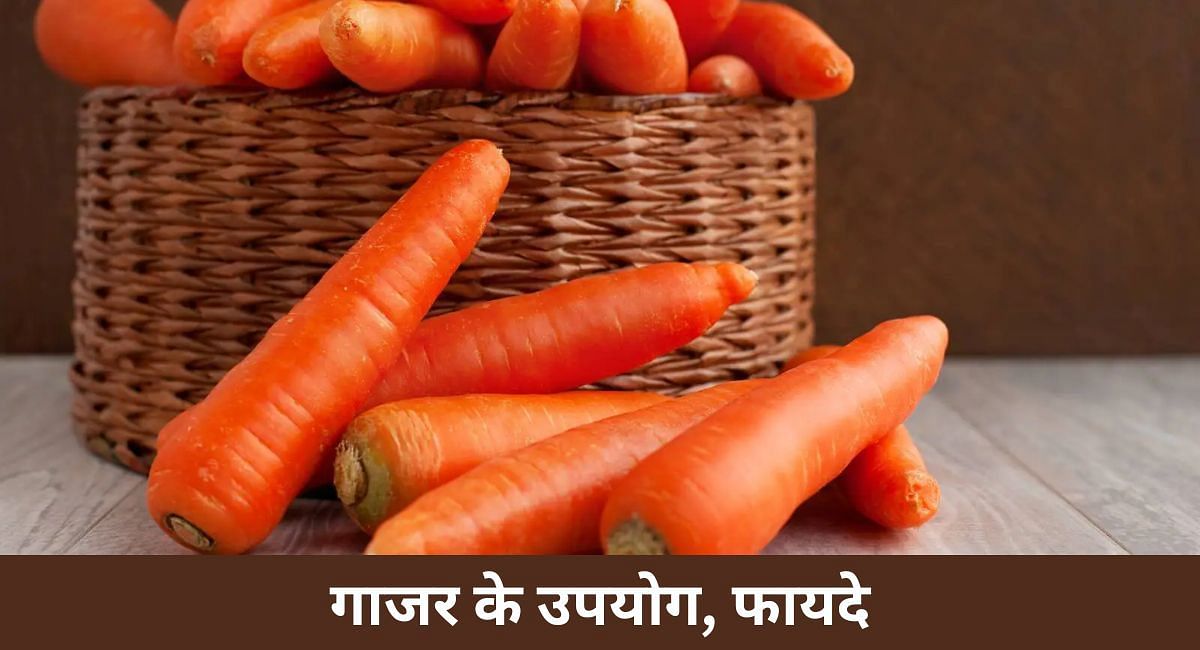 गाजर के उपयोग, फायदे(फोटो-Sportskeeda hindi)