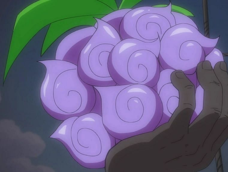 Dark-Dark Fruit, Viz Fairy One Piece Tail Wiki