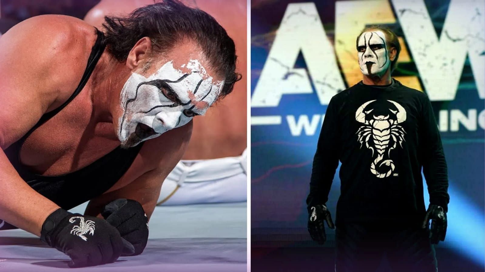 WWE Hall of Famer, The Icon Sting