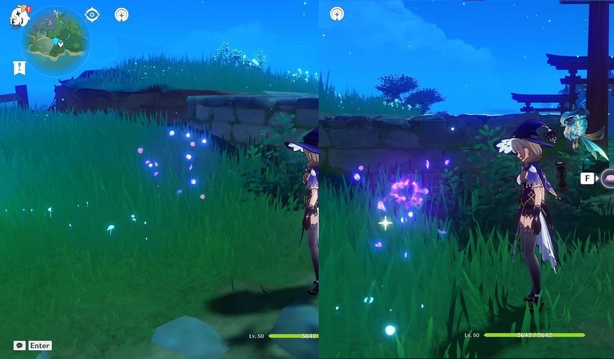 Genshin Impact Sakura Bloom locations Ayaka