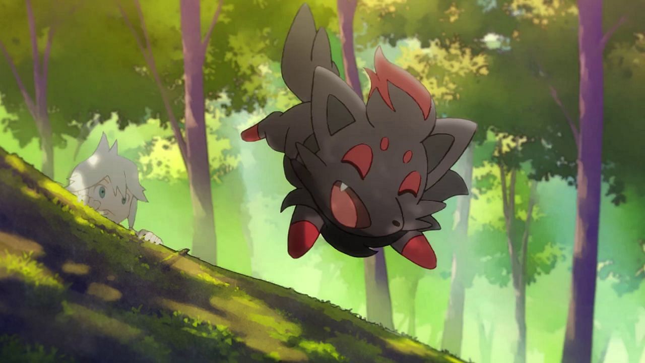 Zorua as it appears in Pokemon Evolutions (Image Via The Pokemon Company)