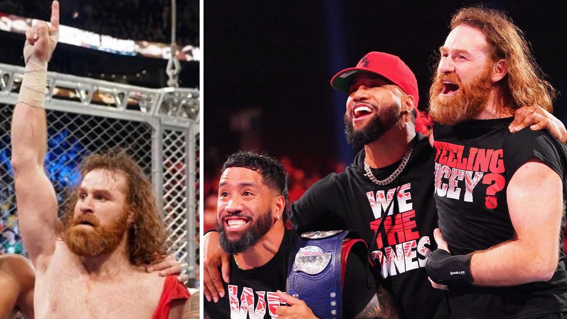 Honorary Uce Sami Zayn proved he belonged in The Bloodline at Survivor Seriess