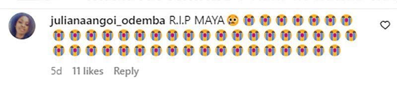 Image of a comment on Maja&#039;s Instagram (Image via Instagram/ @julianaangoi_odemba)