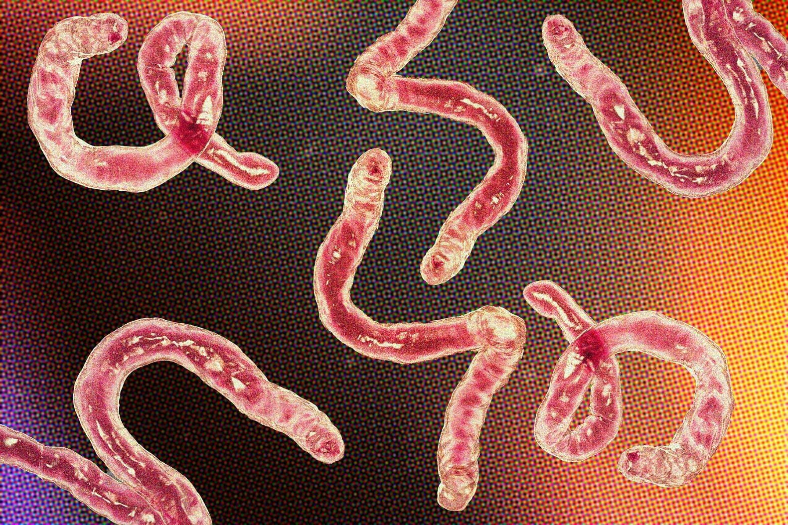 Viral parasite cleansing method explored (art image via Getty Images/Kateryna Kon)