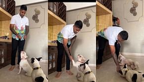 [WATCH] Suryakumar Yadav shares a cute video of his interaction with his dogs