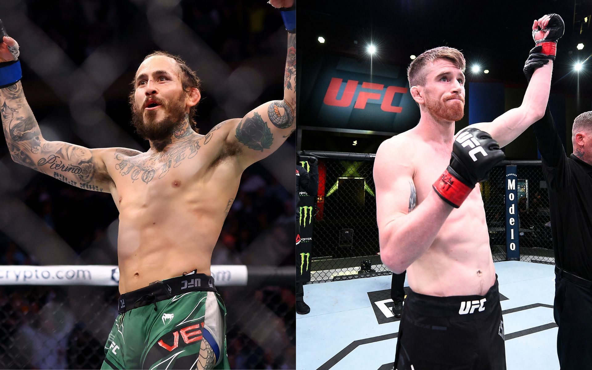 UFC Fight Night: Marlon Vera vs Cory Sandhagen: Age, Height, Record, KOs, Net Worth, and Other Comparison