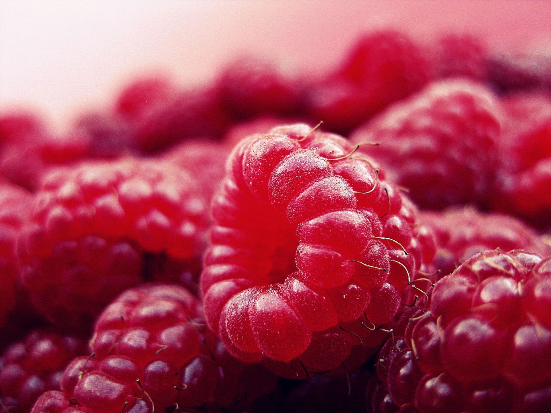 Raspberry tea helps to shorten labor time by toning muscles. (Image via Pexels/Pixabay)