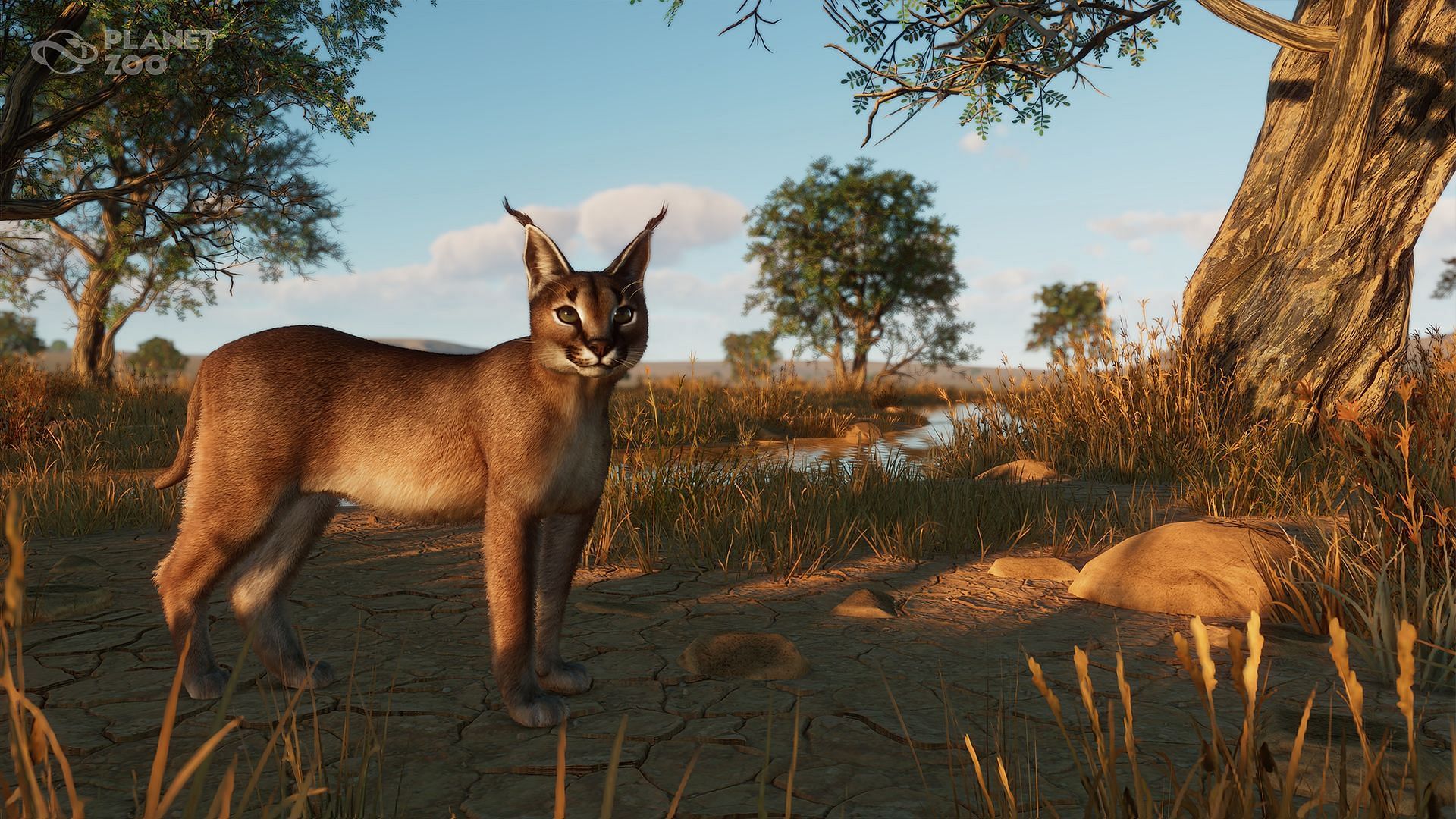 Planet Zoo Grasslands Animal Pack review: Welcome vibrant fluttering