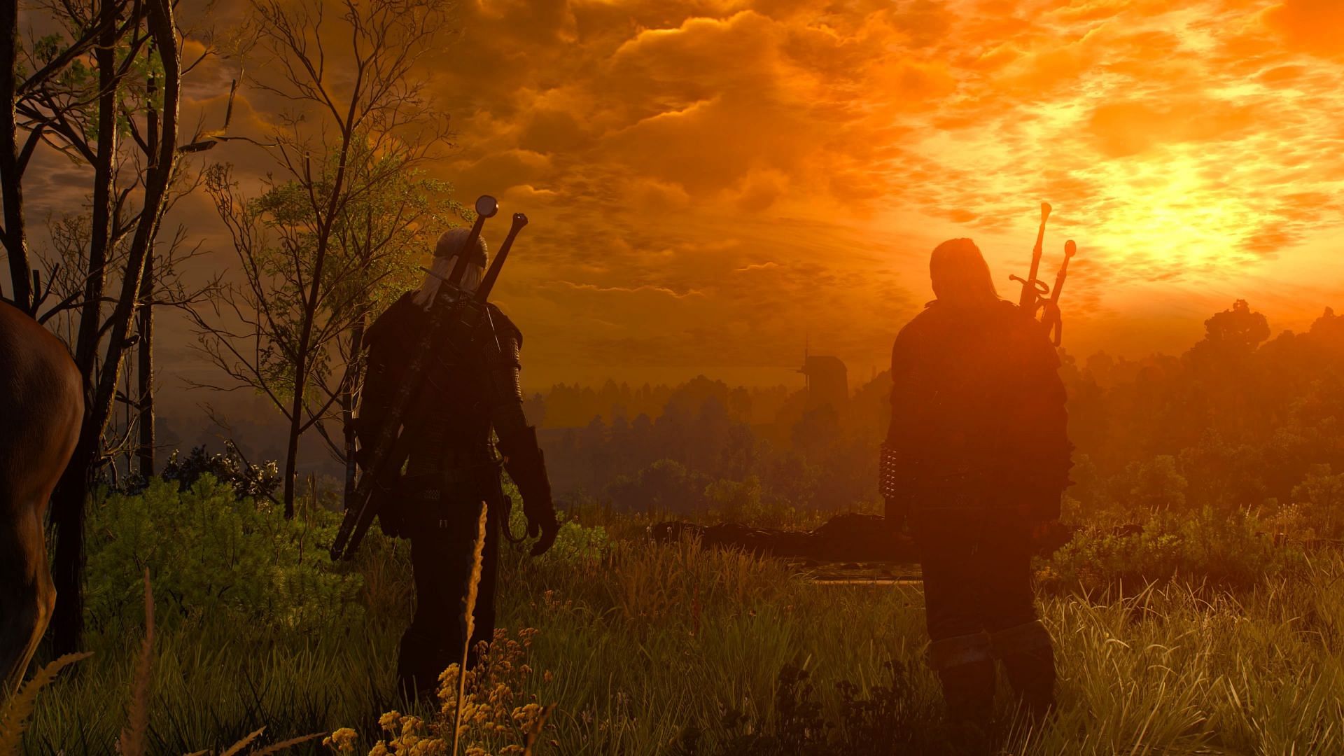 The Witcher 3: Wild Hunt Complete Edition (Next-Gen) review - A ...
