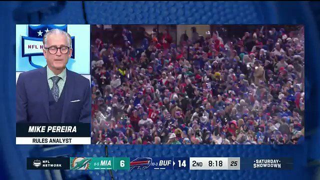 Bills-Dolphins Game Halted By NFL, Buffalo Fans Warned To Stop Throwing  Snowballs At Dolphins Players (VIDEO)