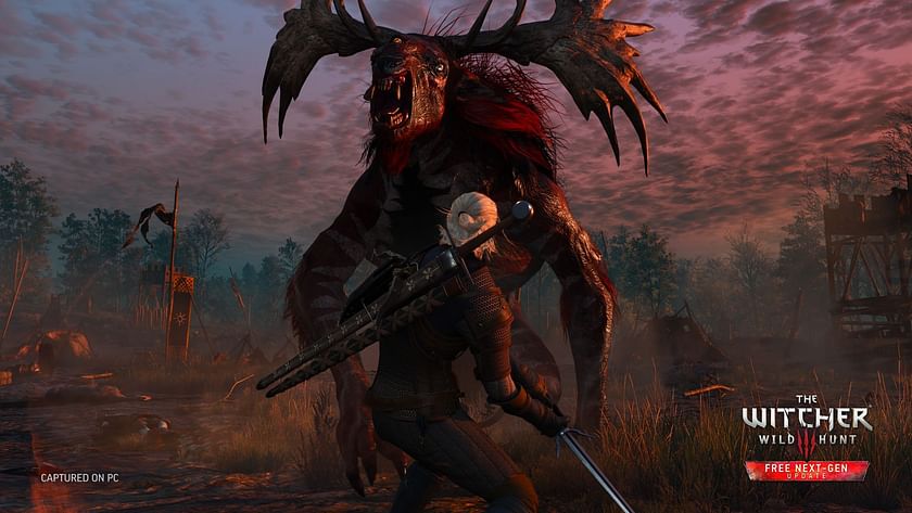 The best builds in The Witcher 3