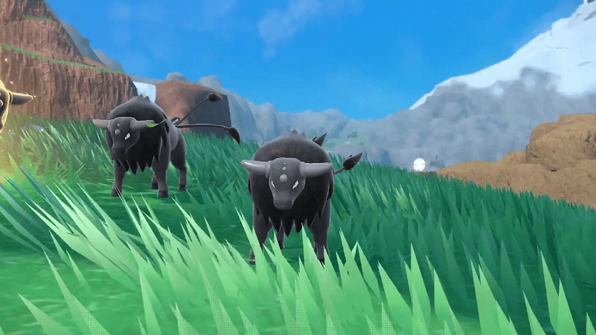 Tauros has three distinct regional variants in Pokemon Scarlet and Violet known as breeds (Image via Game Freak)