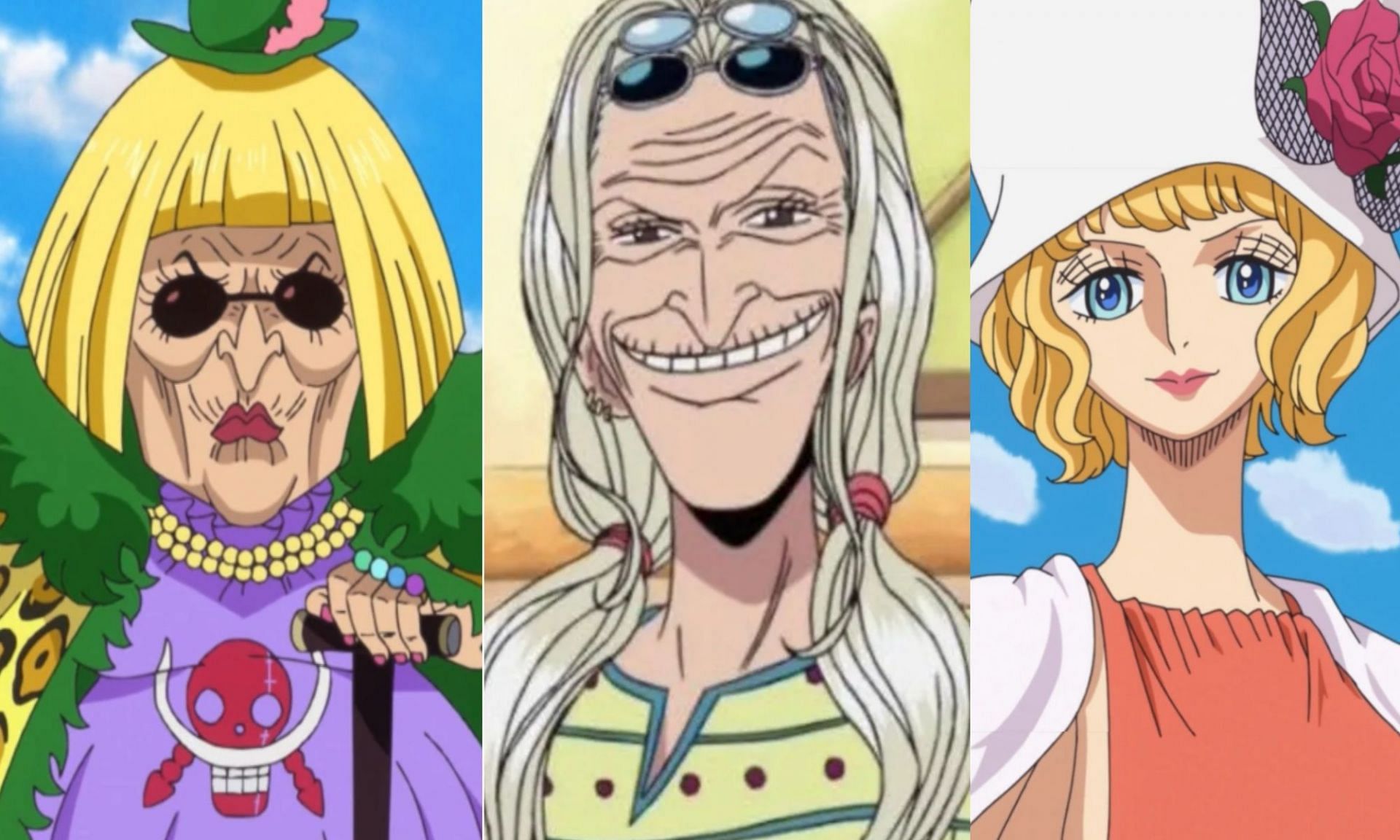 One Piece chapter 1070 hints at female member of MADS