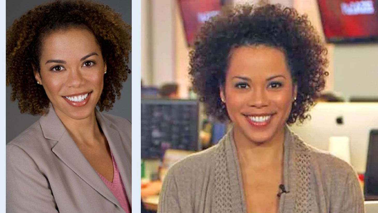 Who is TJ Holmes' first wife? Everything to know about Amy Ferson amid