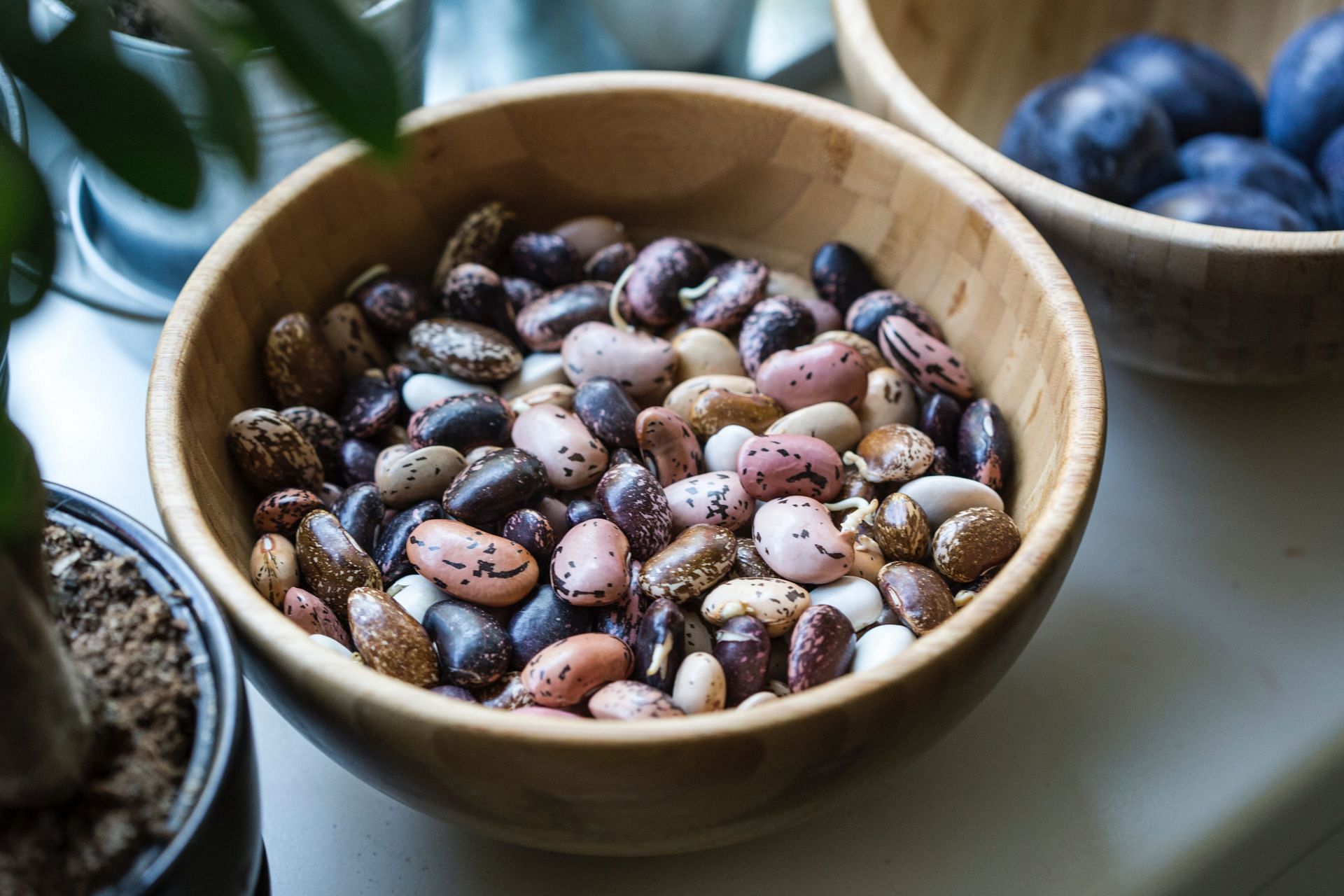 Beans are an inexpensive, low-calorie option for a diabetic-friendly diet. (Image via Unsplash/milada vigerova)