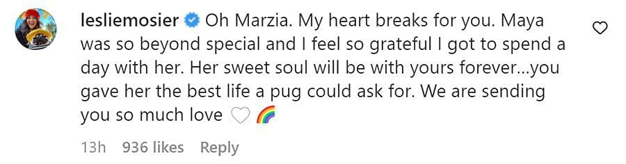 Image showing a comment paying tribute to Maya (image via Instagram/ @lesliemosier)