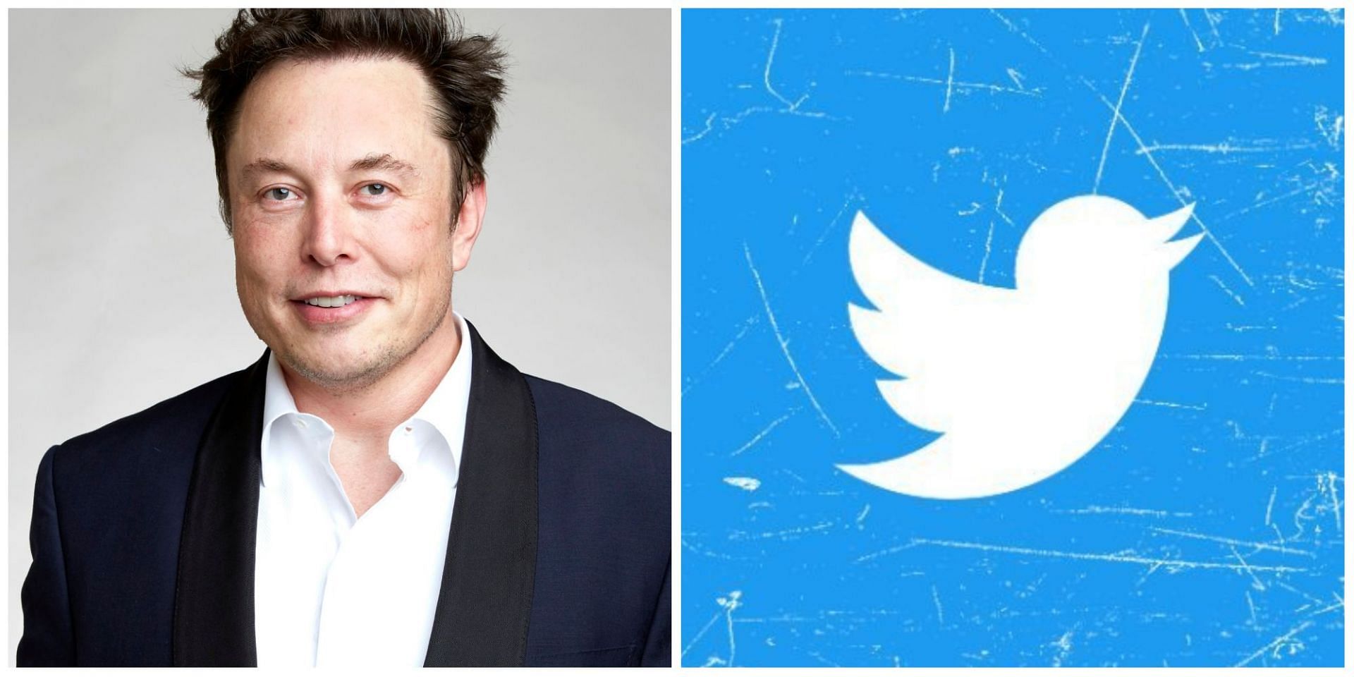 Why did Elon Musk unban the journalists? Details explored. (Image via Twitter)